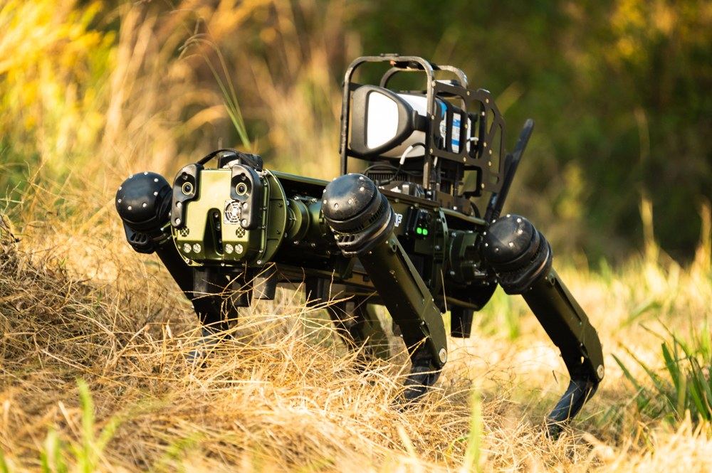 Quadrupeder Robotik Hund als Beispiel für ein autonomes System